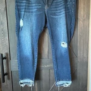 Lane Bryant distressed skinny jeans